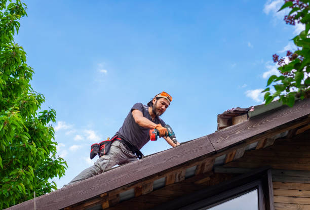 Best Green or Eco-Friendly Roofing Solutions  in Pearsall, TX